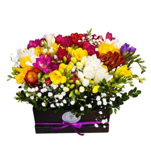 Flower Box Fresias (caja negra)
