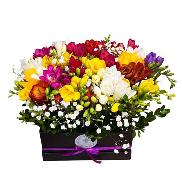 Flower Box Fresias (caja negra)